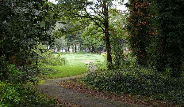 Tulse Hill Forum’s Unity Walk